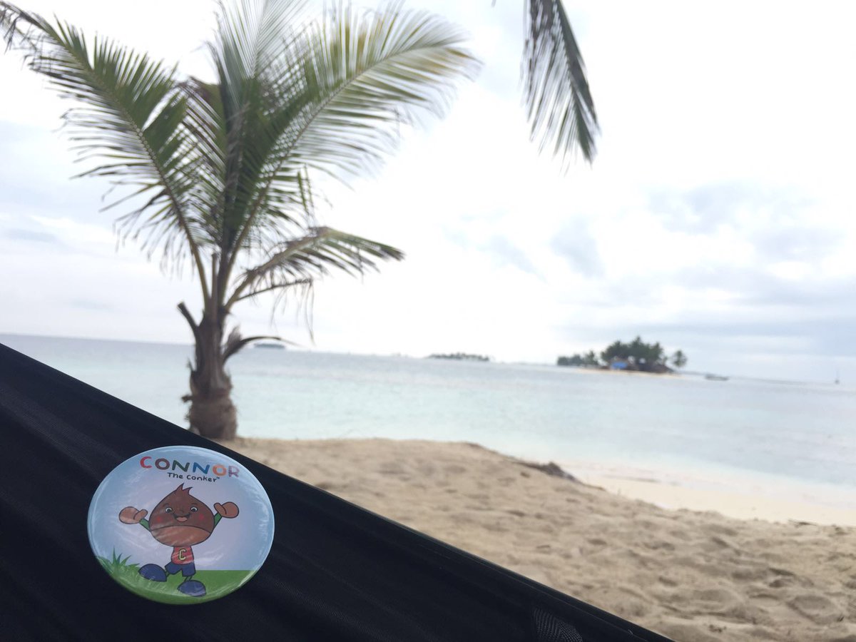 Rachellloyd's tweet photo. @tretalkisgood #ConnortheConker is very excited to be on #TalkRadioeurope tonight 6pm @radiohannah #Connoronatbeach https://t.co/v8ObScTB6s