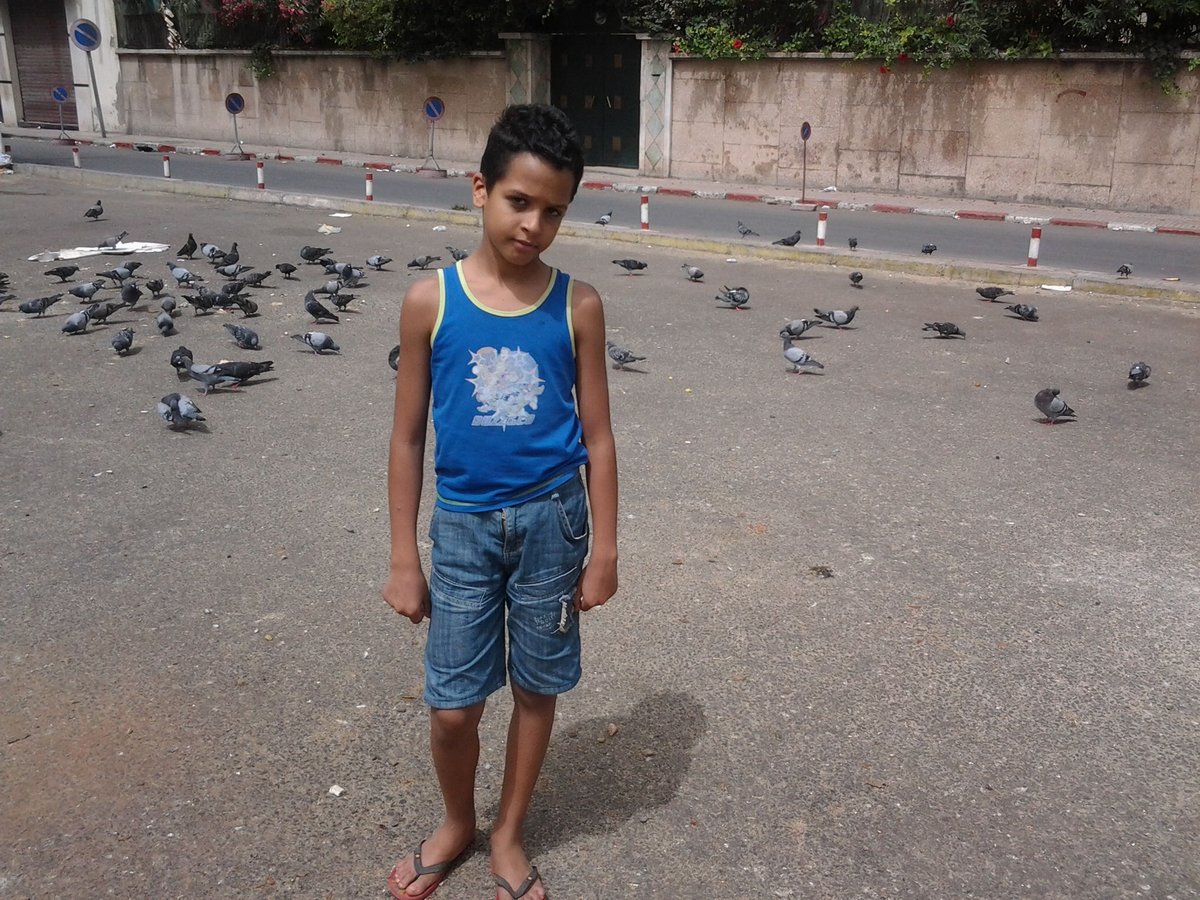 simozahi7's tweet image. 