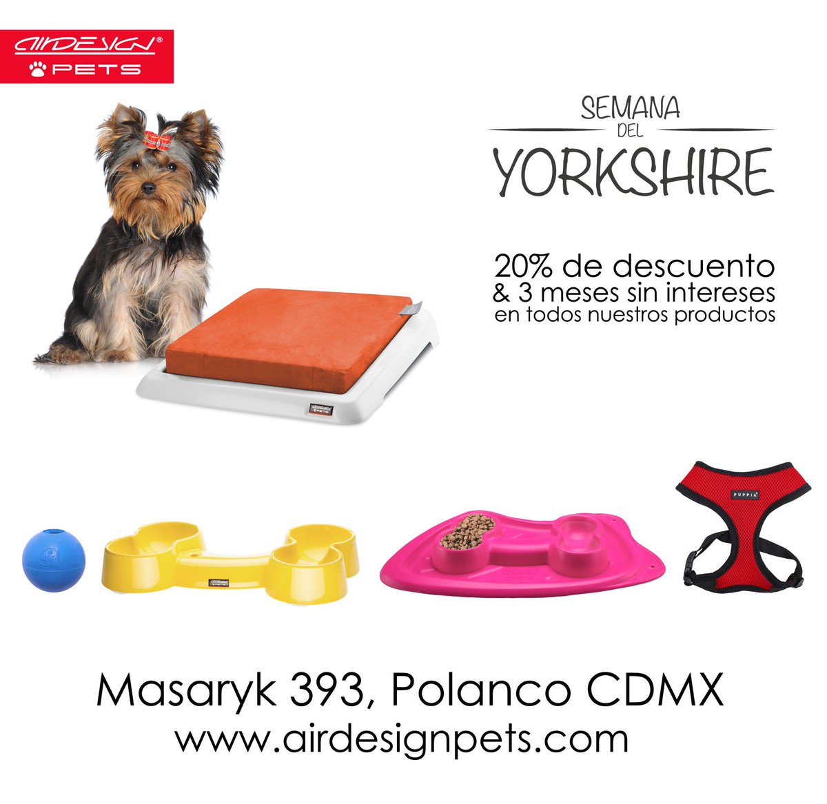 AirDesignPets's tweet photo. #AirDesignPETS #Yorkshire https://t.co/Kkp5ke07vD