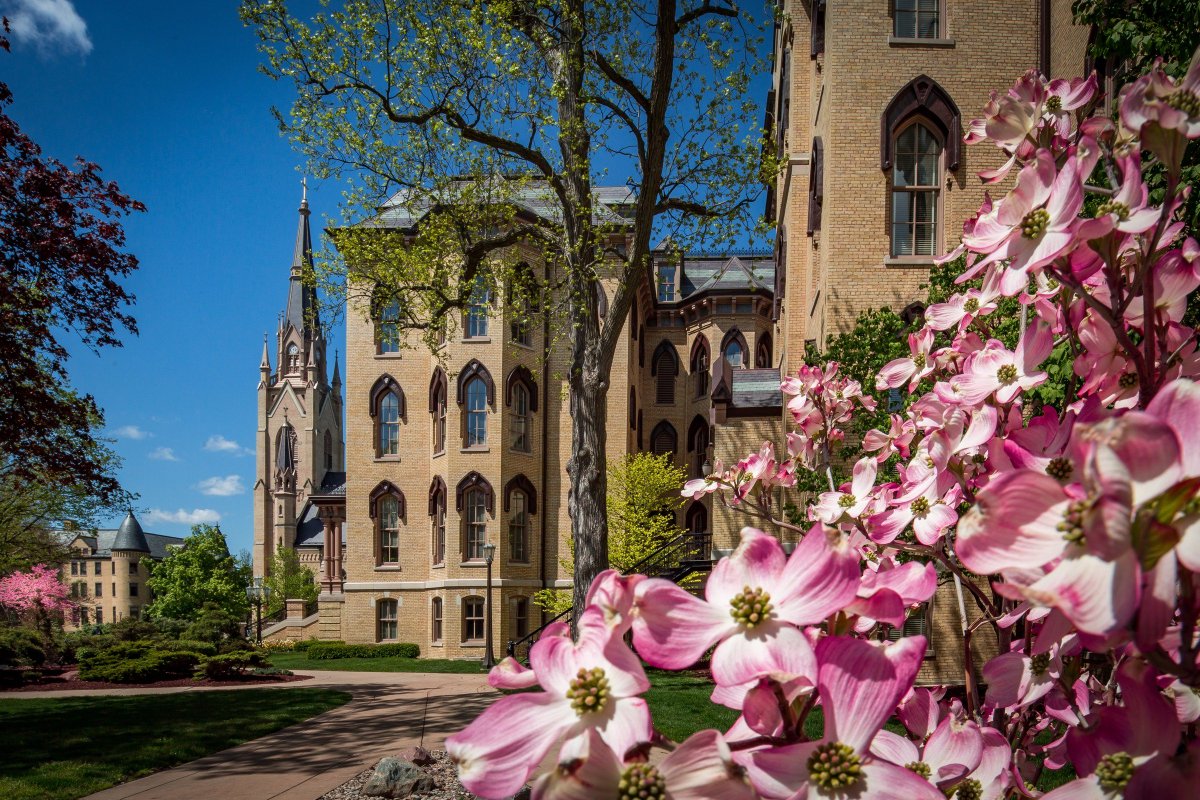 NotreDame's tweet photo. It's a gorgeous Spring day on campus! https://t.co/luoJgrWK3L