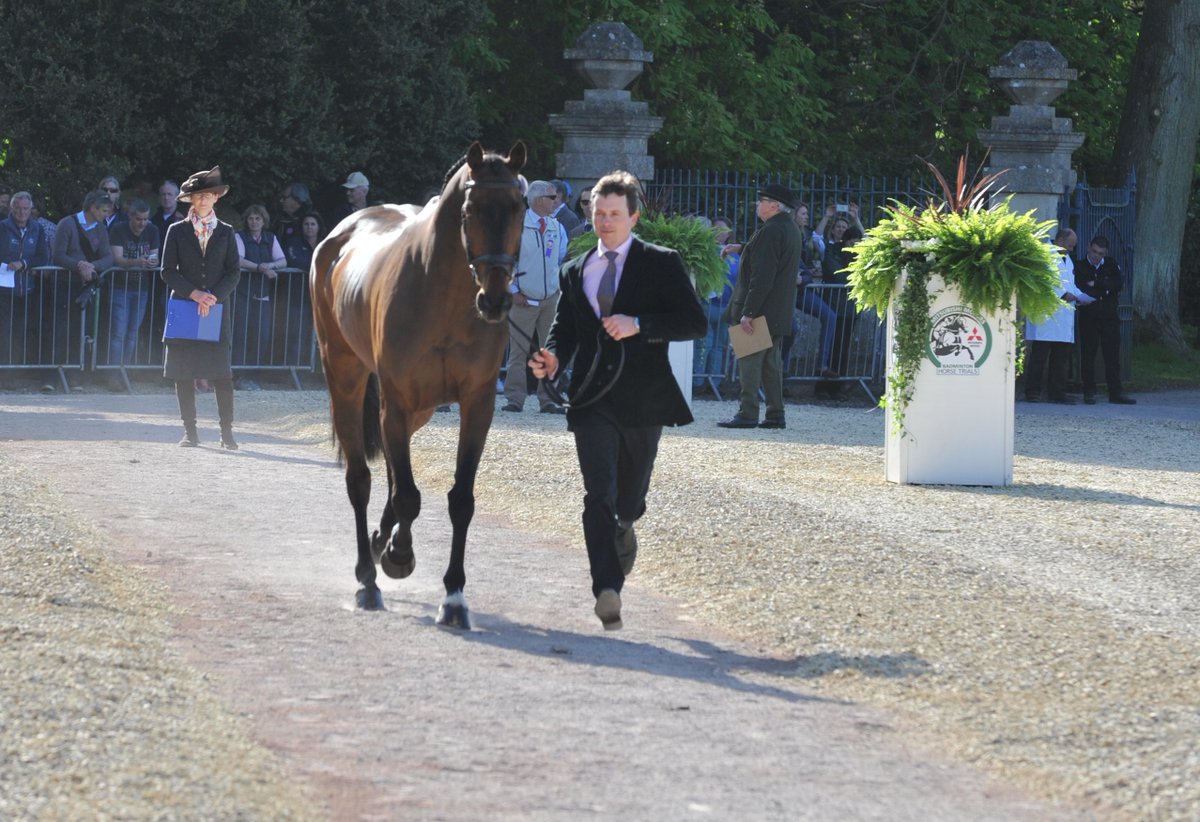 localrider magazine tweet media