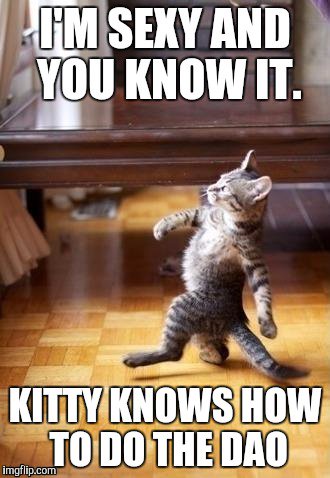 myetherwallet's tweet image. If you dont know what The DAO is, you're missing out. $19m so far. daohub.org #ethereum #thedao #DaoHub