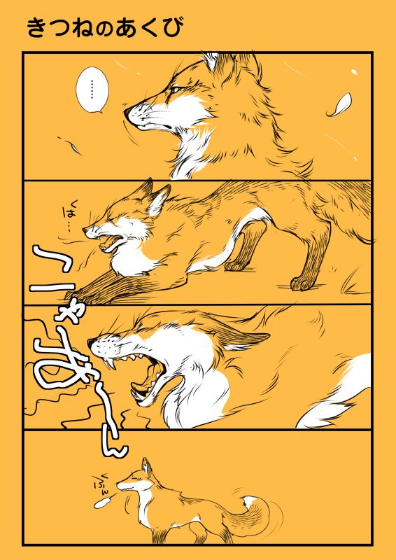 きつねのあくびが衝撃的だったというレポと、5月5日すぎちゃったけど、こどもの日あわせで子ぎつねを。
#看板狐と行くキツネ村ツアー #狐どもの日