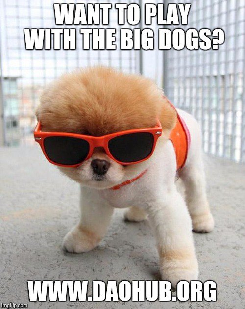 myetherwallet's tweet image. Want to play with the big dogs? #ethereum #thedao #DaoHub