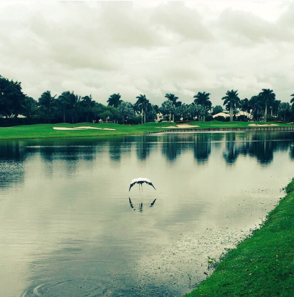 propertychannel's tweet photo. "If surviving is important then living is what it's all about"~ Luxury Country Clubs  #golf #lifestyle #marketing https://t.co/vVDghSJ9ZF