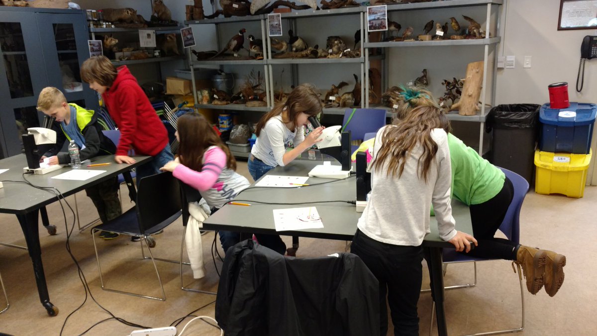 Learning about and exploring the Meadowlands Ecosystem!