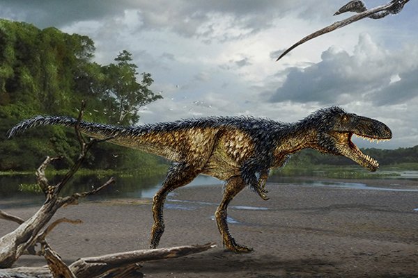 Emol's tweet photo. Científicos recogen una tonelada de fósiles dinosaurios desde la Antártida https://t.co/ADKmFHNjKF https://t.co/T89cYVKCAW