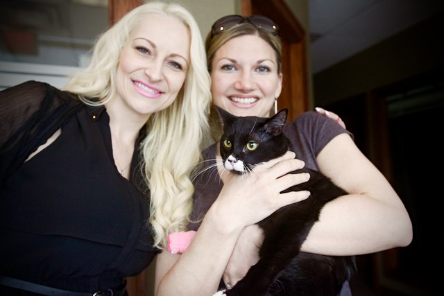 Donate to help Cassidy &amp; other locally rescued cats at tinykittens.com/donate