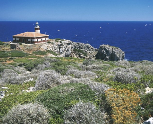 ItalyinLA's tweet photo. Hidden treasure https://t.co/DXbTRAhdLR #ALICUDI #FILICUDI #GIANNUTRI #LINOSA #VENTOTENE #SANANTIOCO #Italy #Islands https://t.co/1SKFLyO0IP