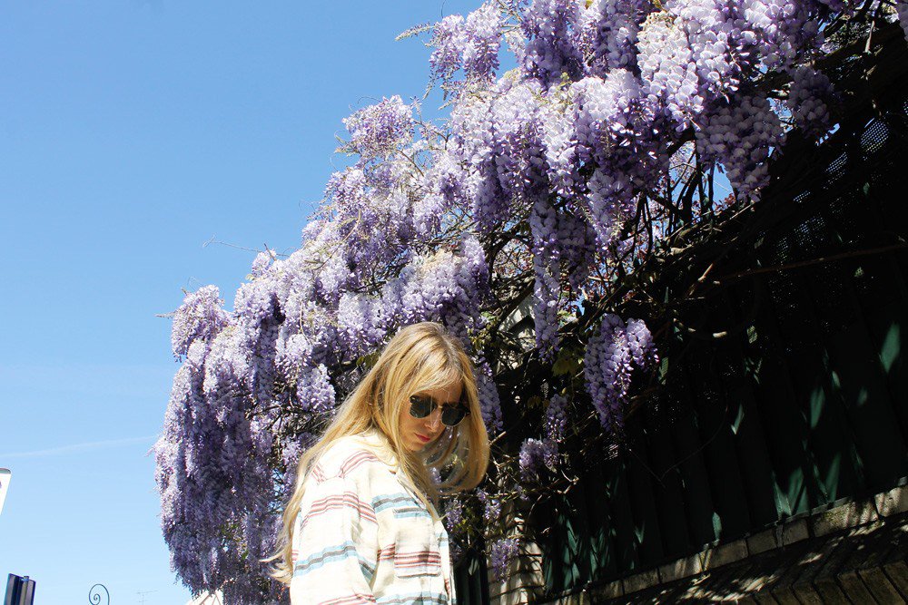 The Showroom Project tweet media