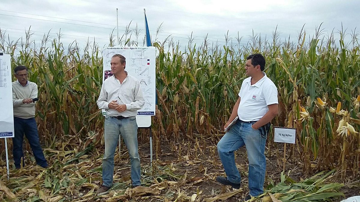 aapresid's tweet photo. Cómo están los ensayos de Chacra San Luis @aapresid @intaargentina? https://t.co/4Rm5R3ey9d Compartimos el informe https://t.co/0C2GlFAVjl