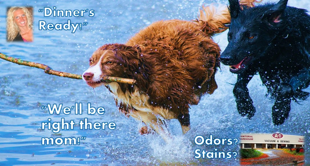 Pet Odor? Hurry! We are giving you a COUPON BOOK good throughout 2016!  vacscents.com/index.html  #petodor #petstain
