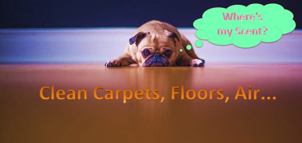 Clean Fresh Scent WITH your pet in the HOUSE! #weloveourpets #pets vacscents.com