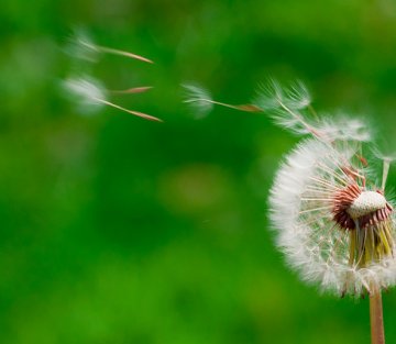 making_a_dif's tweet photo. The Strange Beautiful Side of Death https://t.co/0guVxs7N3f #charity https://t.co/sDJ0ZSFOQw