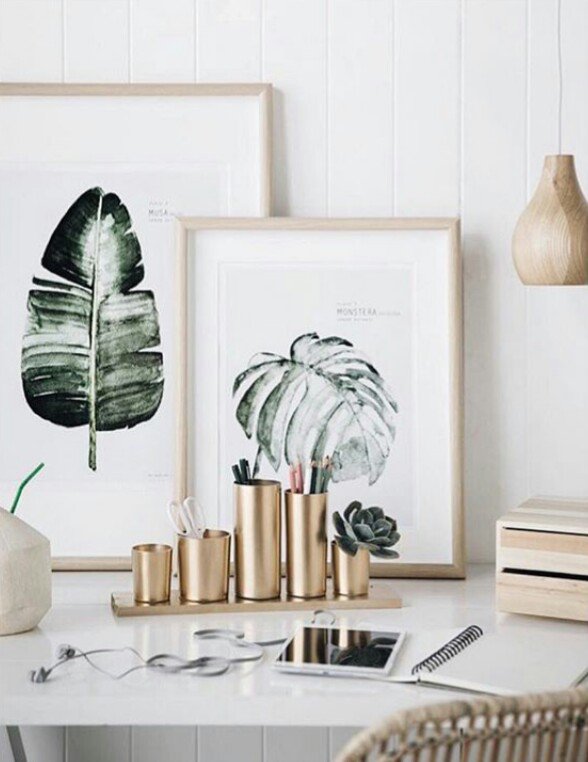 Serrano_Arqui's tweet photo. Piensa en verde. 
Inspiración botánica.🌿🌱🍀
#Diseño #Design #BotanicalStyle #Interiorismo #Illustration
@MYDEERnl https://t.co/TPDGOJ2062