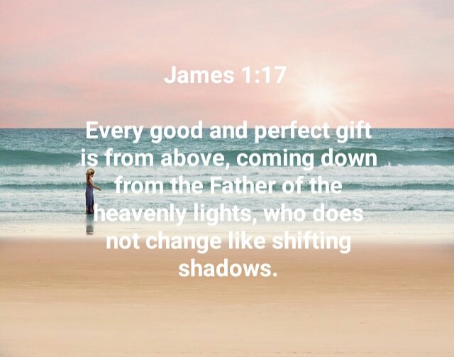 LolaLovesLunch's tweet image. James 1:17
#Bible #GodIsSpeaking