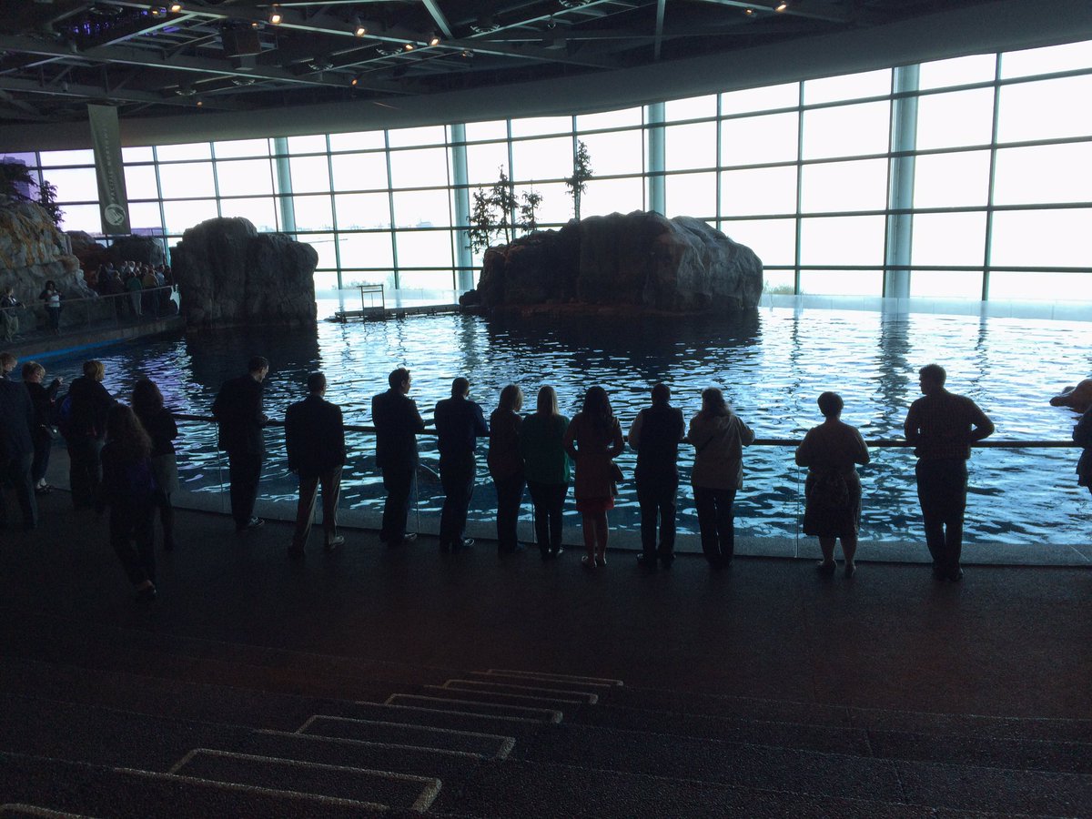bswiftbenefits's tweet photo. It doesn’t get much more exclusive than a private dinner at the @shedd_aquarium. #bswiftSummit https://t.co/30pHTs96dD