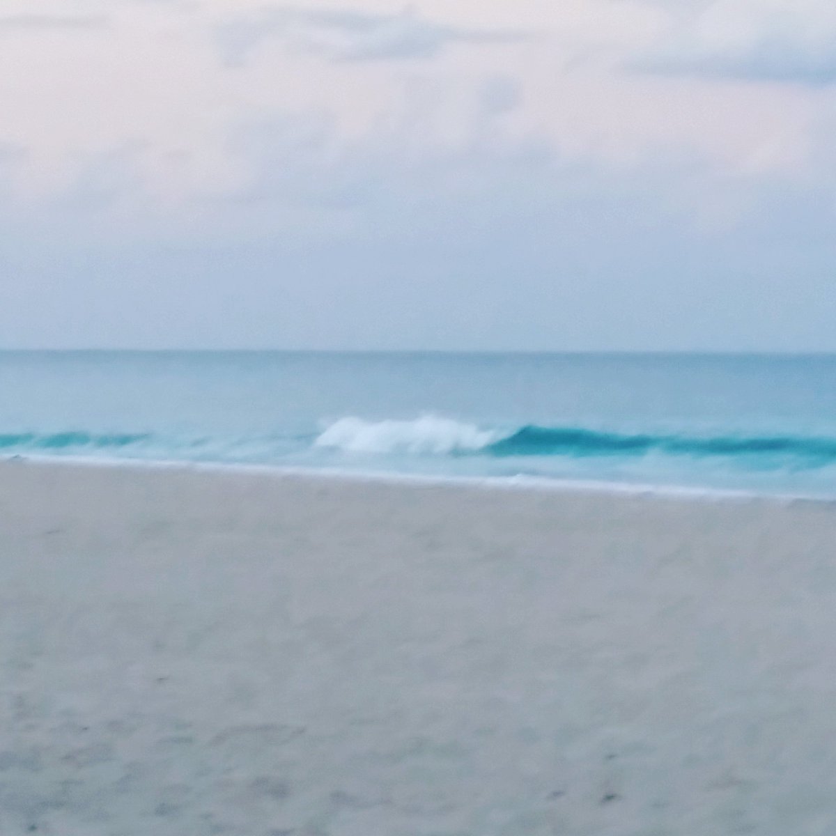 1QueenAmy13's tweet photo. Staycation BEFORE vacation! I'm loving life right now! #IslandLife #myworld #QueenAmy #transethnic #CincoDeMayo https://t.co/SaM5mR5F67