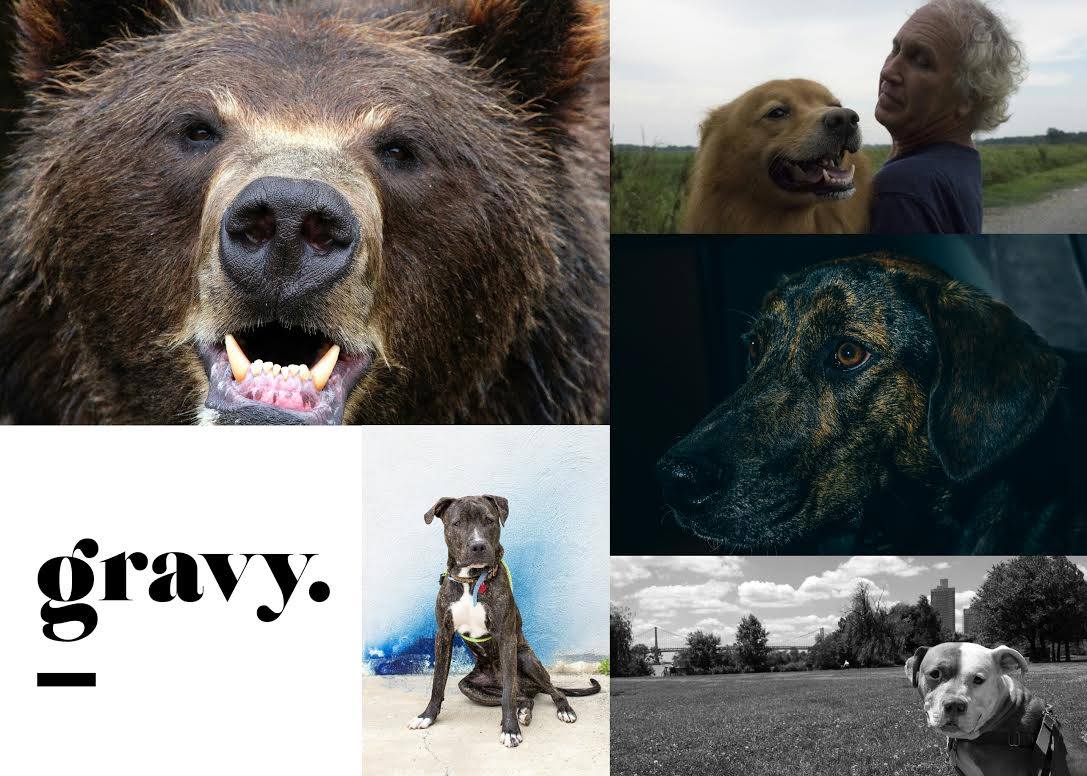 Bring your pets + yourself to Gravy Studio &amp; celebrate their 5 year anniv this upcoming #FirstFriday 6-10 pm !