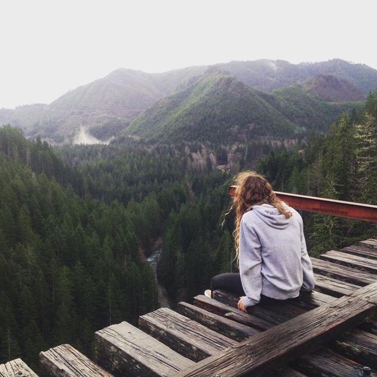 Hiker Collective tweet media