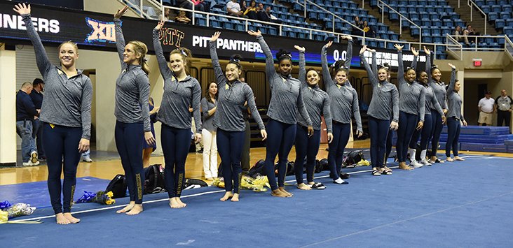 WVU Gymnastics tweet media
