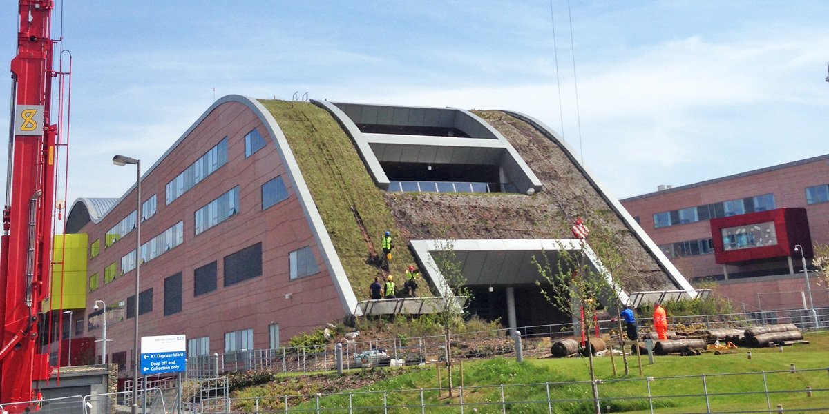 A spot of warm weather gardening today - our living roof was in need of a spruce up :)