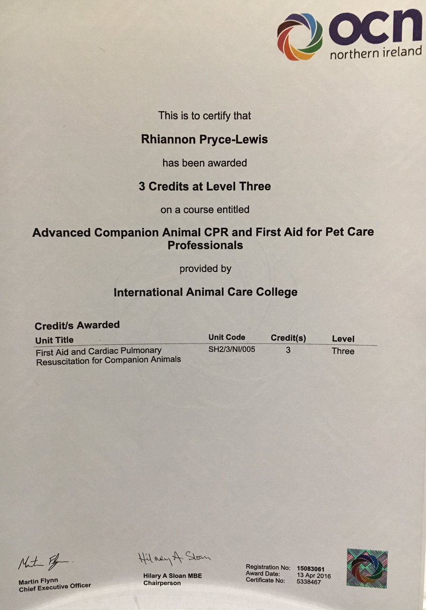 de_grooming's tweet photo. Certificate arrived today-your dogs really are in the best of hands 🐾 https://t.co/EmwzZgVw0N