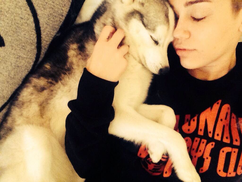 MileyUpdateEU tweet picture