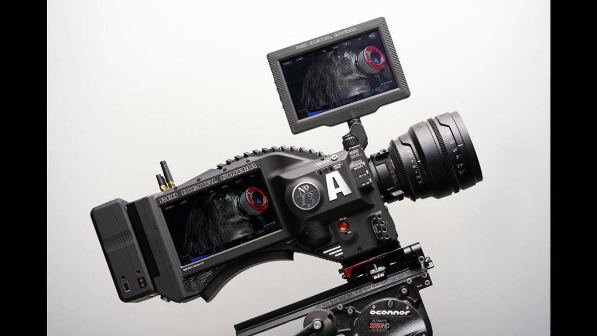 DigiColin's tweet image. #RED  going after the guys  Black and Grey?