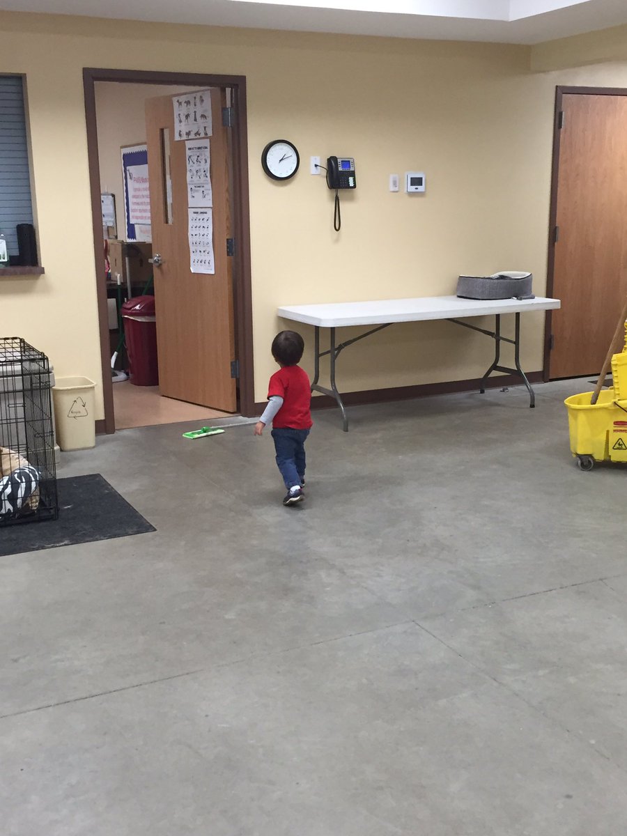 m_gaerke's tweet photo. Littlest #TargetVolunteer sweeping &amp; playing with Sassy #G494RDOS #G494Unselfie @KellySakai1 @Meggie4Target @I_Tob26 https://t.co/jvn10mrWzt
