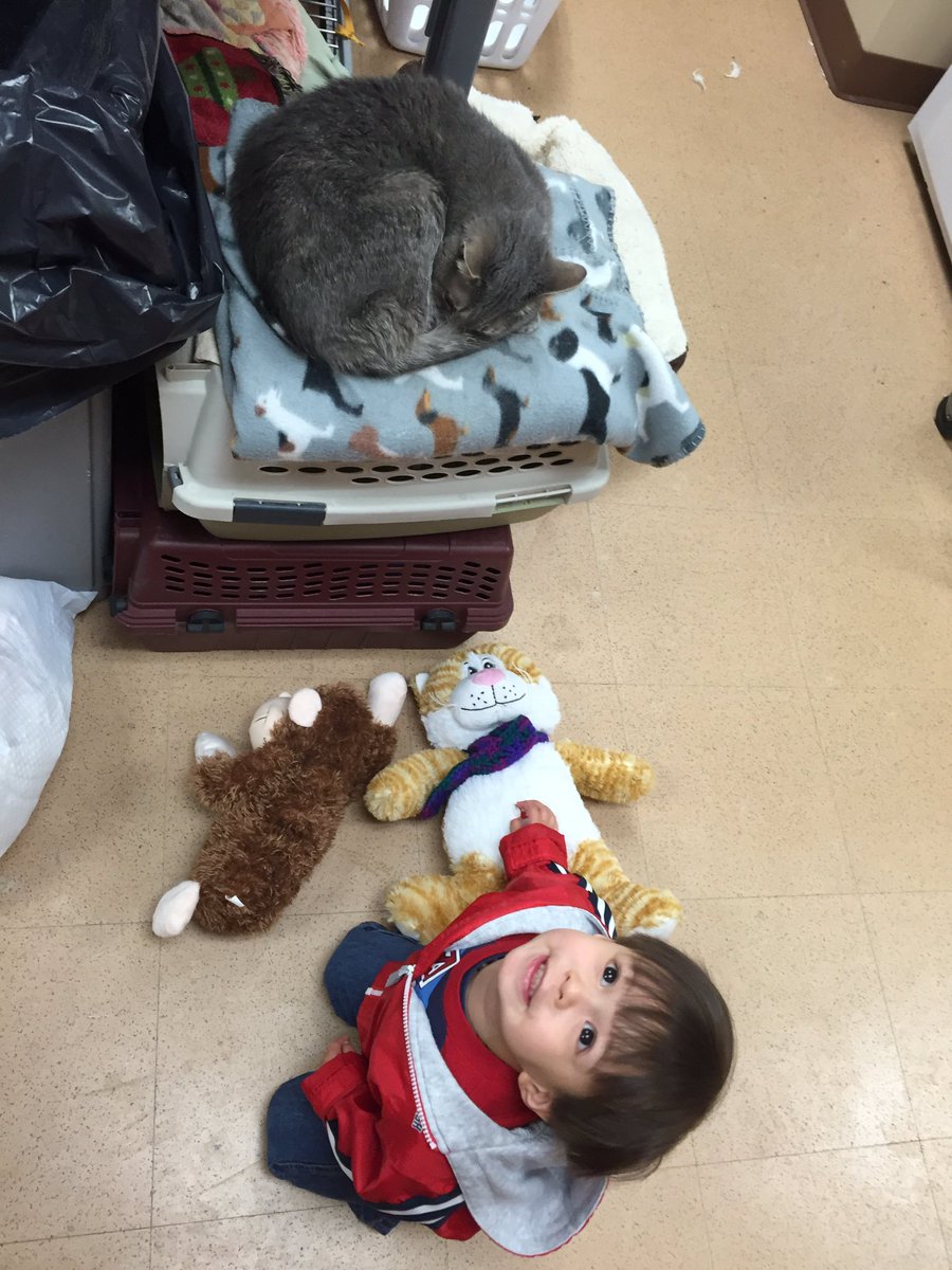 m_gaerke's tweet photo. Littlest #TargetVolunteer sweeping &amp; playing with Sassy #G494RDOS #G494Unselfie @KellySakai1 @Meggie4Target @I_Tob26 https://t.co/jvn10mrWzt