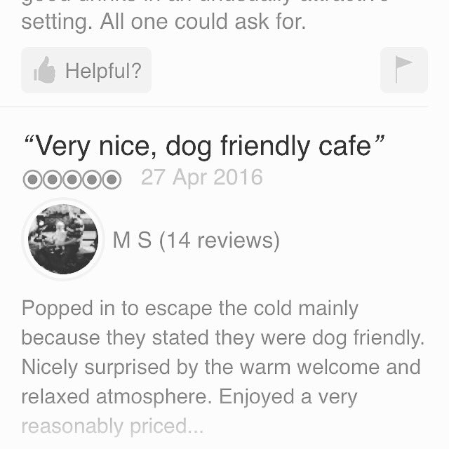 CharlieFridays's tweet photo. A few recent reviews 💚 @CharlieFridays #happyplace https://t.co/u3esfK8blj