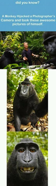 Eva (@evatina_) on Twitter photo 