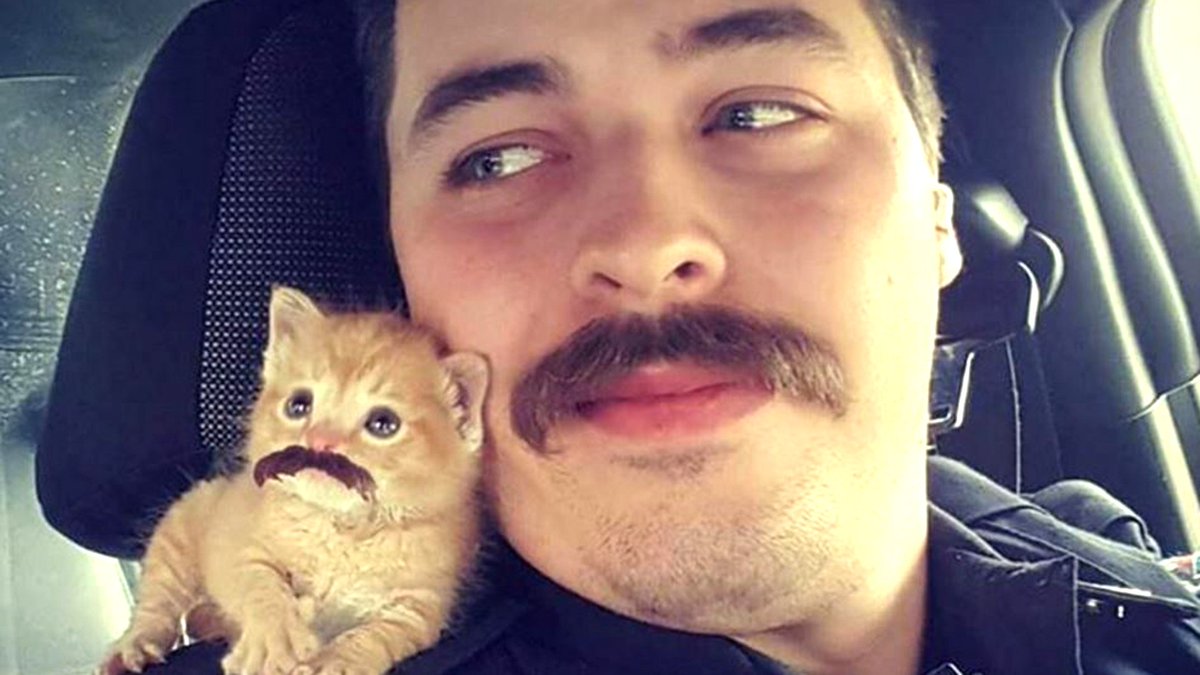 Aftermath90's tweet image. Loving #police officer gives rescued kitten new home (and a new mustache!) hubs.ly/H02Vkb60 #humorinuniform