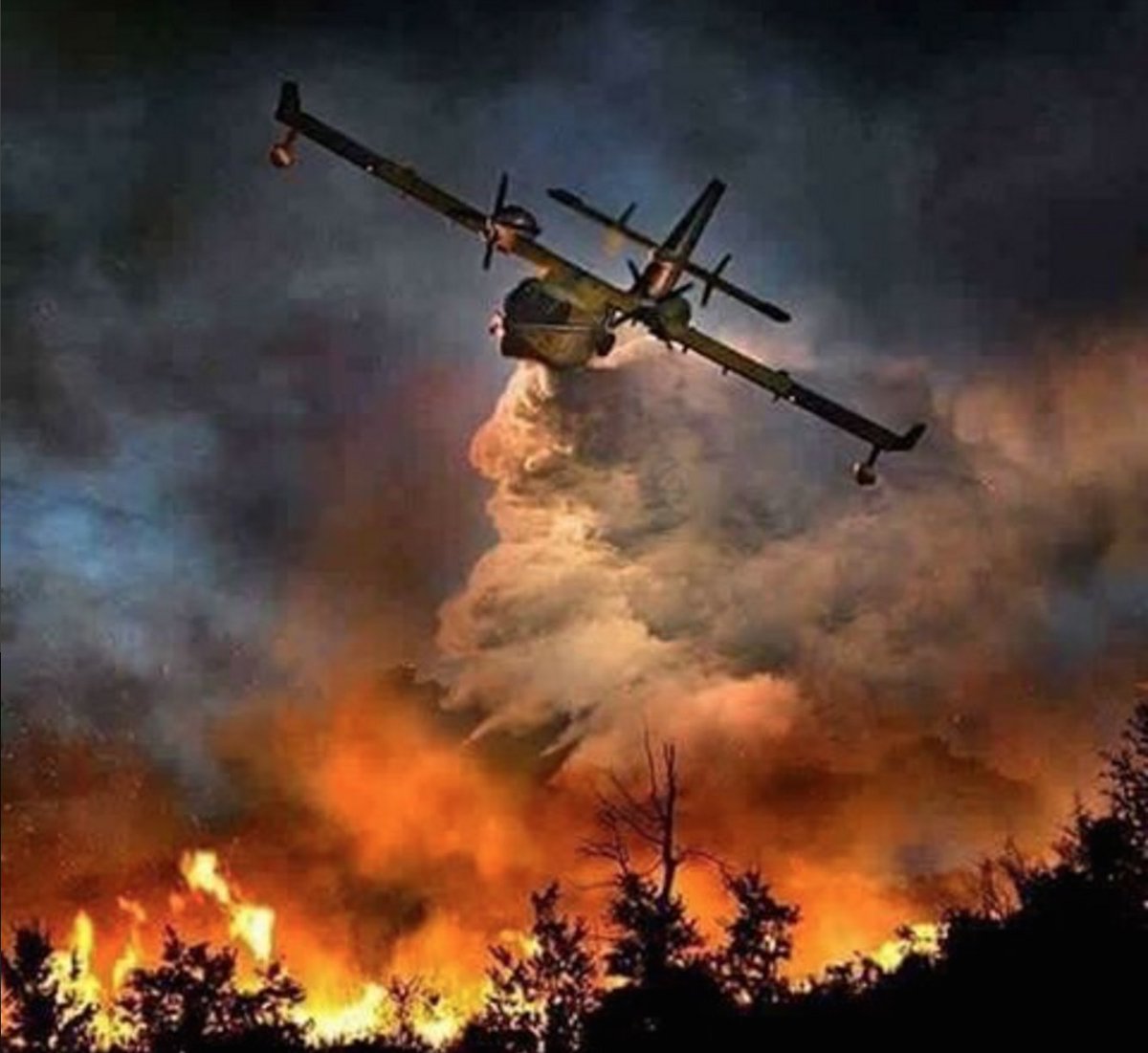 DailyHiveYYC's tweet photo. #ForMacFire: update from Alberta Premier Rachel Notley. https://t.co/MjUMPDTGEZ #YYC #YMM #ymmfire https://t.co/knvZ8S12dy