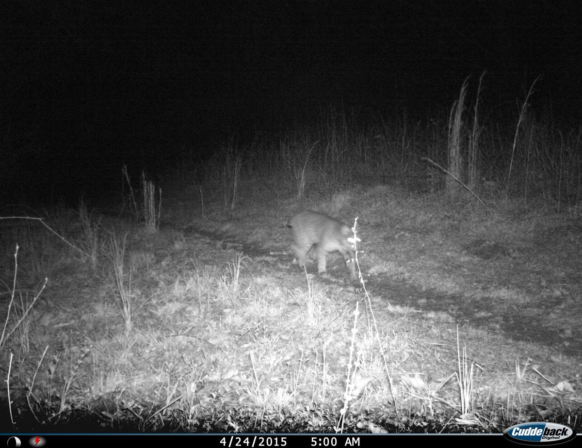 BuckBuddies's tweet photo. https://t.co/ecbLWDr8N8