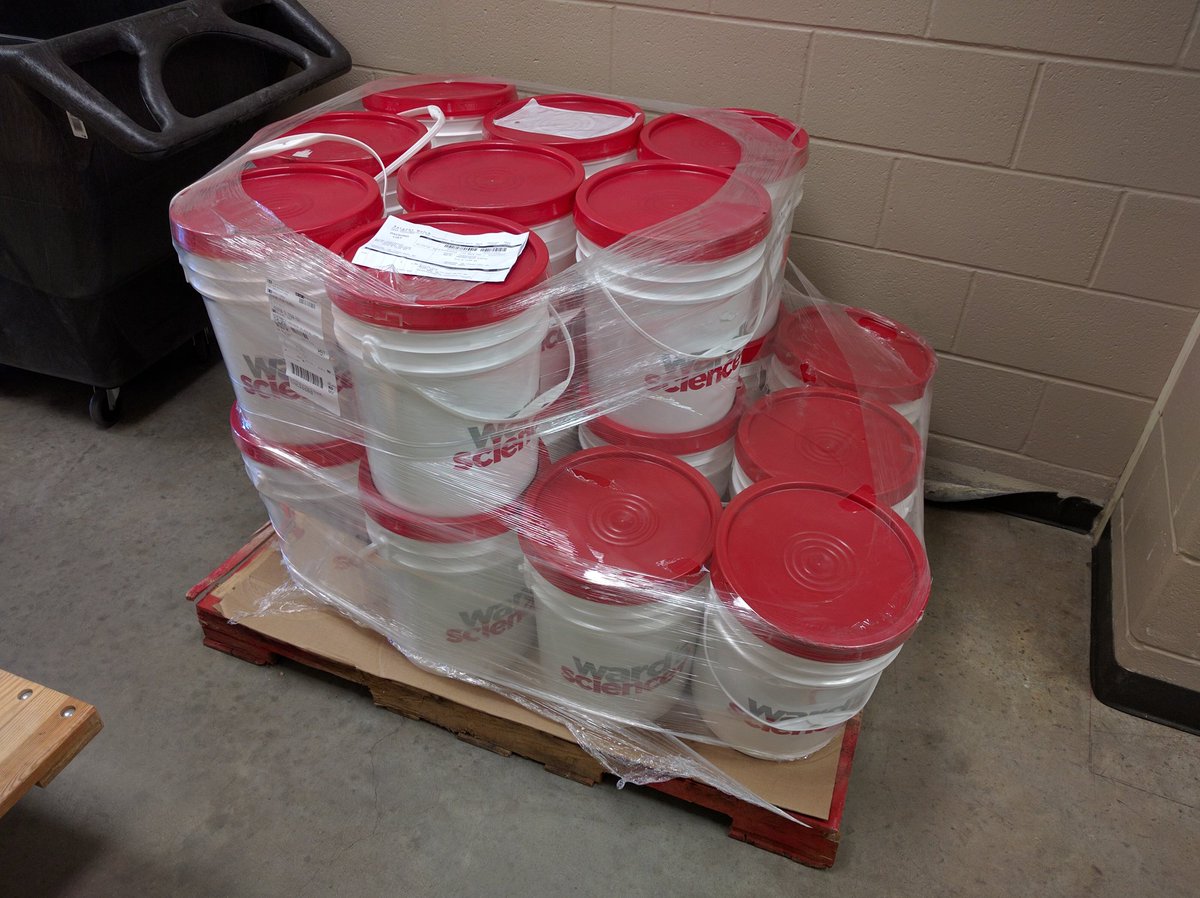 MikeDoes_This's tweet photo. Specimens have arrived!  #DissectionTime #PostSTAAR https://t.co/M2VpEtZI5c
