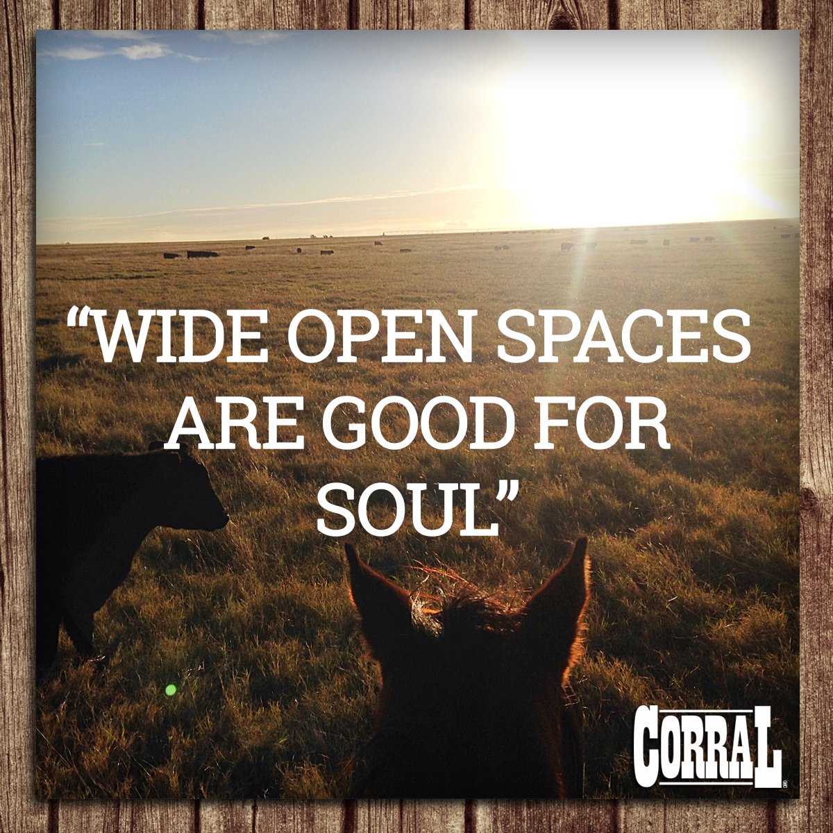 CorralBoot's tweet photo. Who else would love to have this view today?
#CorralBoots #CorralWorld https://t.co/SOBw2dGL6S