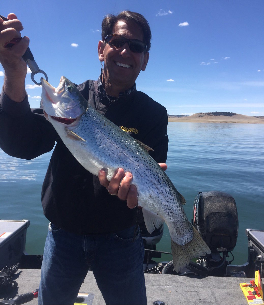 Tightline_TLO's tweet photo. Whacking fish @SpinneyMountain Reservoir! https://t.co/h8Qycdsto0