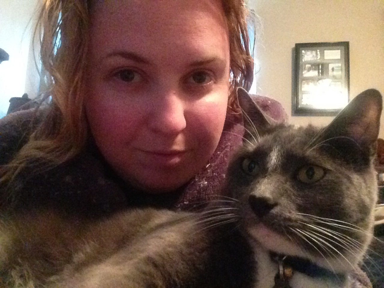 TW Pornstars Nikky Wilder. Twitter. Cat wants me to hold him... I