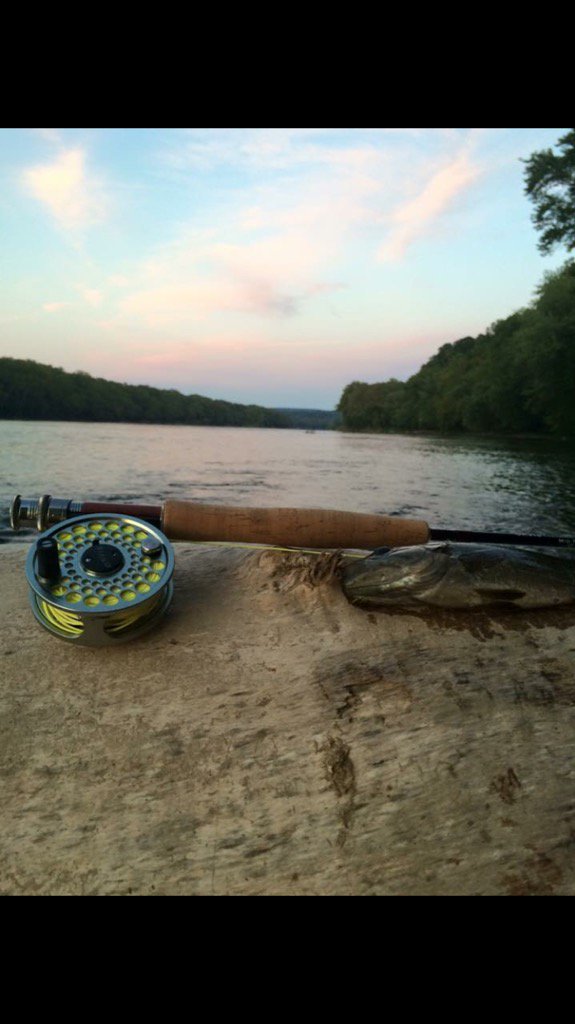 BassOn2016's tweet photo. Beautiful scene to catch some nice bass! Thanks @MutherGosse_6 for this picture!
#BassOn #WVBass https://t.co/TBfCXNEZ33