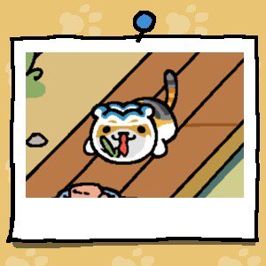 CampBitterBear's tweet photo. #ねこあつめ https://t.co/YTJLr3Ysr7