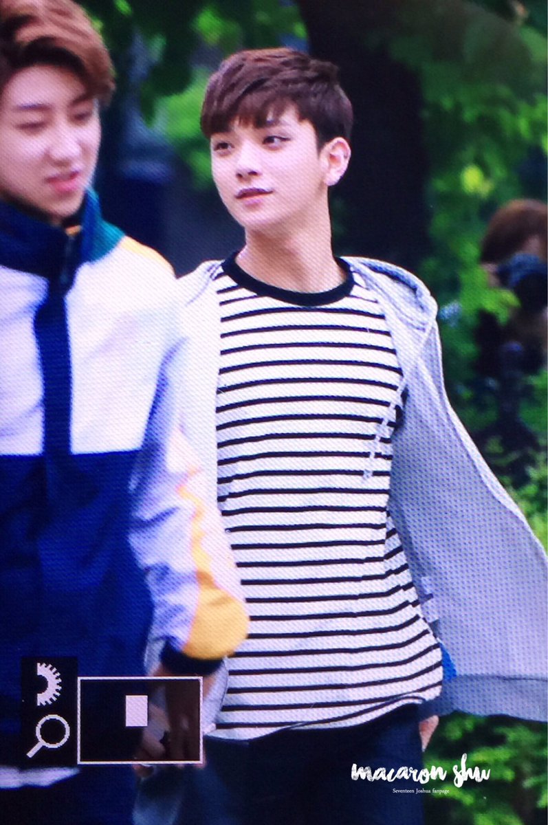 macaronshu's tweet photo. 160506 뮤직뱅크 출근 #조슈아 #세븐틴 #홍지수 #joshua 토끼토끼 깡총깡총🐰🐰🐰 https://t.co/tj7ZXm9Y2i