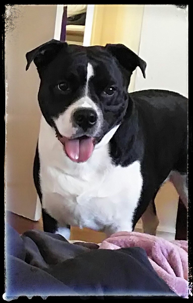 CrissySaunders's tweet photo. My baby girl 💞 https://t.co/ZcJPMn3A99