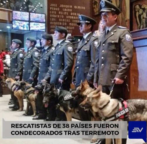 EcuavisaInforma's tweet photo. La emotiva condecoración a los rescatistas, entre ellos canes #TerremotoEcuador https://t.co/qFbpmCoYeB https://t.co/uXDu1HasdT