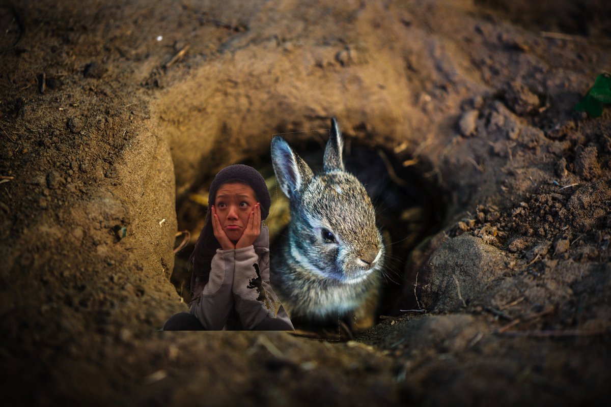 chrysantung's tweet photo. Sometimes you go down a rabbit hole. And sometimes you really go down a rabbit hole. https://t.co/ysnXInUnkg