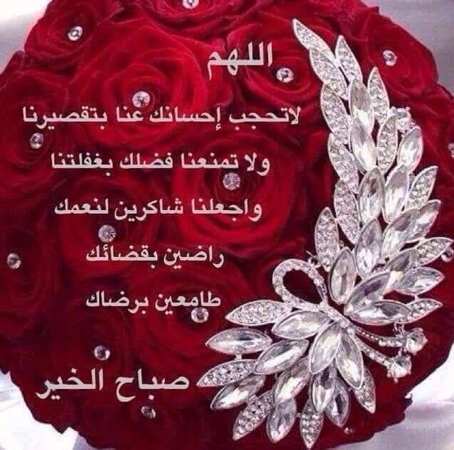 ali255887's tweet photo. @sxzfk https://t.co/8jCQVKAewh