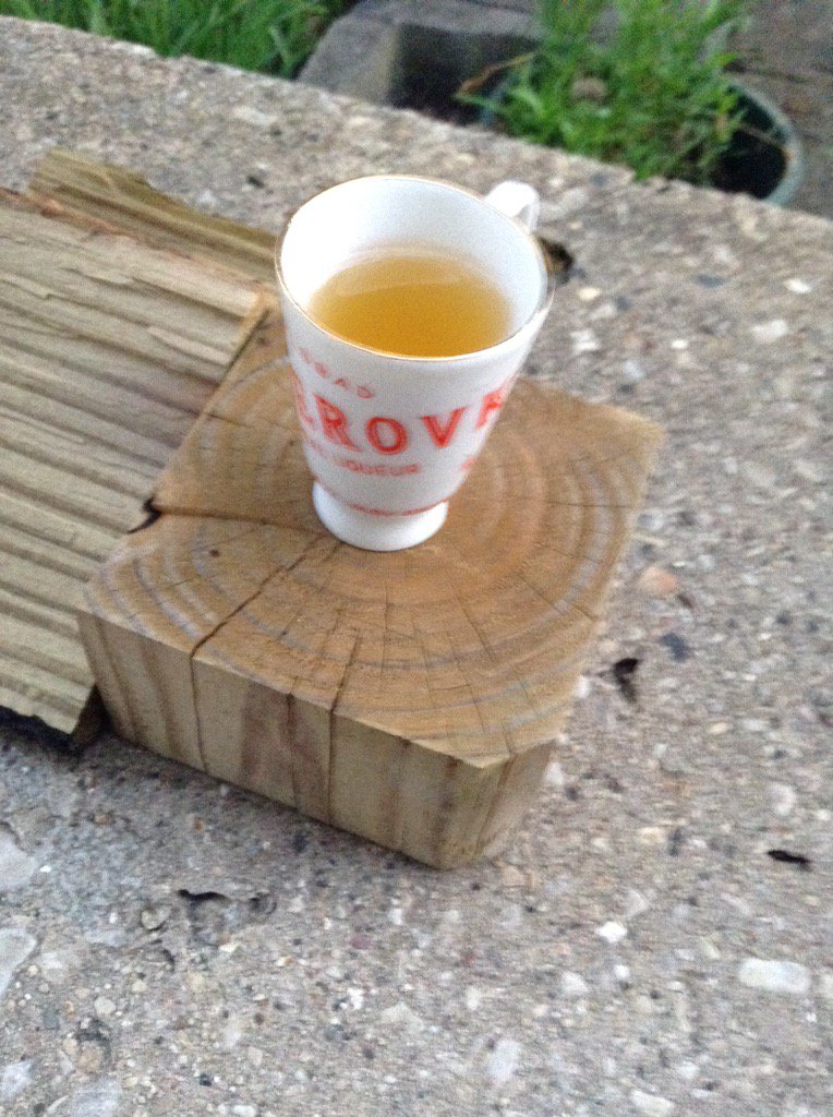 theadingo's tweet image. @ProperChips @AynW And yes, that's a tiny glass of #becherovka on the #backstoop.