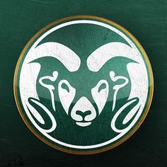 g0performance's tweet photo. Adam Sparks @adamsparks18 2017 picks up 4th offer while he's in the lab. #GoRams #groundzero https://t.co/gpwXWe1TUK