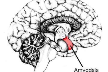Cannaclear707's tweet photo. #mentalillness #ecs #cannaclear https://t.co/Tk2qYeqPXn